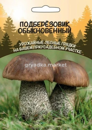 Мицелий Грибы Подберезовик Обыкновенный (ССПК) Б-Ф