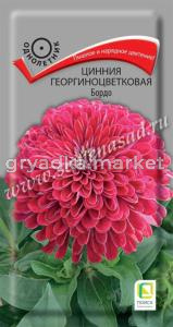 Цинния Бордо георгиноцветковая 0,4г Одн 80см (Поиск)