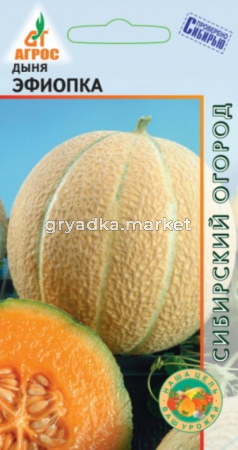 Дыня Эфиопка 10шт (Агрос)