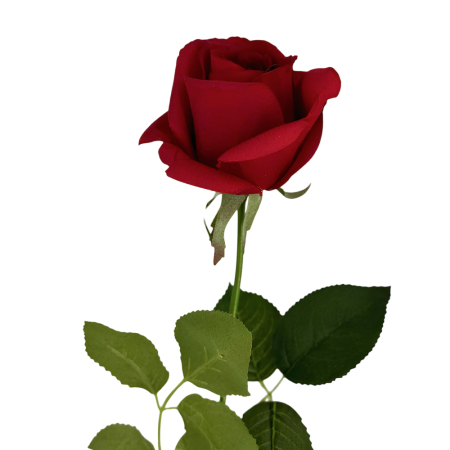 Искусственные цветы Роза из силикона Н65 см 1545-1 182693 2 Искусственные цветы Роза из силикона Н65 см 1545-1 182693 2