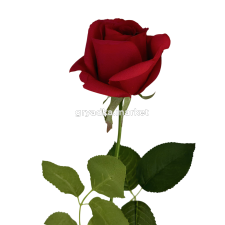 Искусственные цветы Роза из силикона Н65 см 1545-1 182693 2