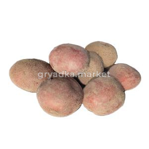 Картофель Лалу Ср Элита ЭКО сорт 20кг-2