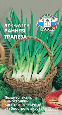 Лук батун Ранняя Трапеза 1г (Седек)