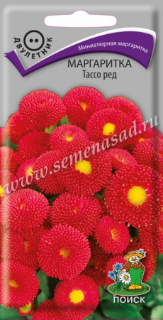 Маргаритка Тассо ред (ЦВ) (
