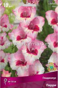 Гладиолус Перри 10-12 крупн. 10шт