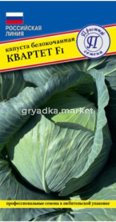 Капуста б-к Квартет F1 10шт Позд (Престиж)