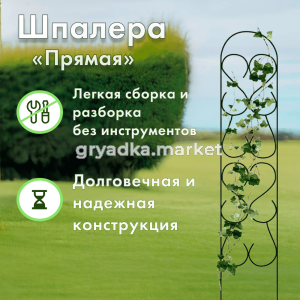 Карточка товара 2