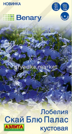 Лобелия Скай блю палас кустовая 5шт Одн 15см (Аэлита)