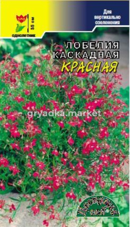 Лобелия Красная каскадная (Цвет сад)