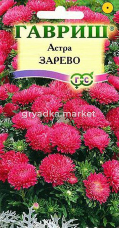 Астра Зарево 0,3г.-махр- Гавриш