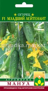 Огурец Младший лейтенант F1 Манул