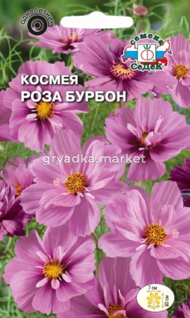 Космея Роза Бурбон бипиннатус, махровая, нежно-розовая 0,04г Одн 80см (Седек)