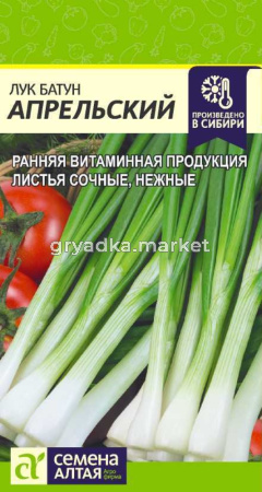 Лук батун Апрельский 1г. Сем Алт