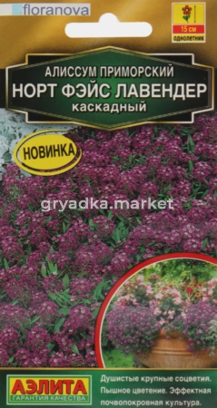 Алиссум Норт фэйс лавендер каскадный 10шт Одн 15см (Аэлита)
