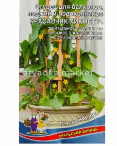 Огурец Балконный Красавчик Хикмета F1 (УД) !!!