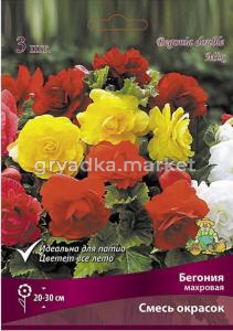 Бегония смесь Махровая окрасок 3 шт.5-6