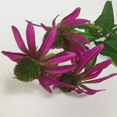 цветок иск.эхинацея